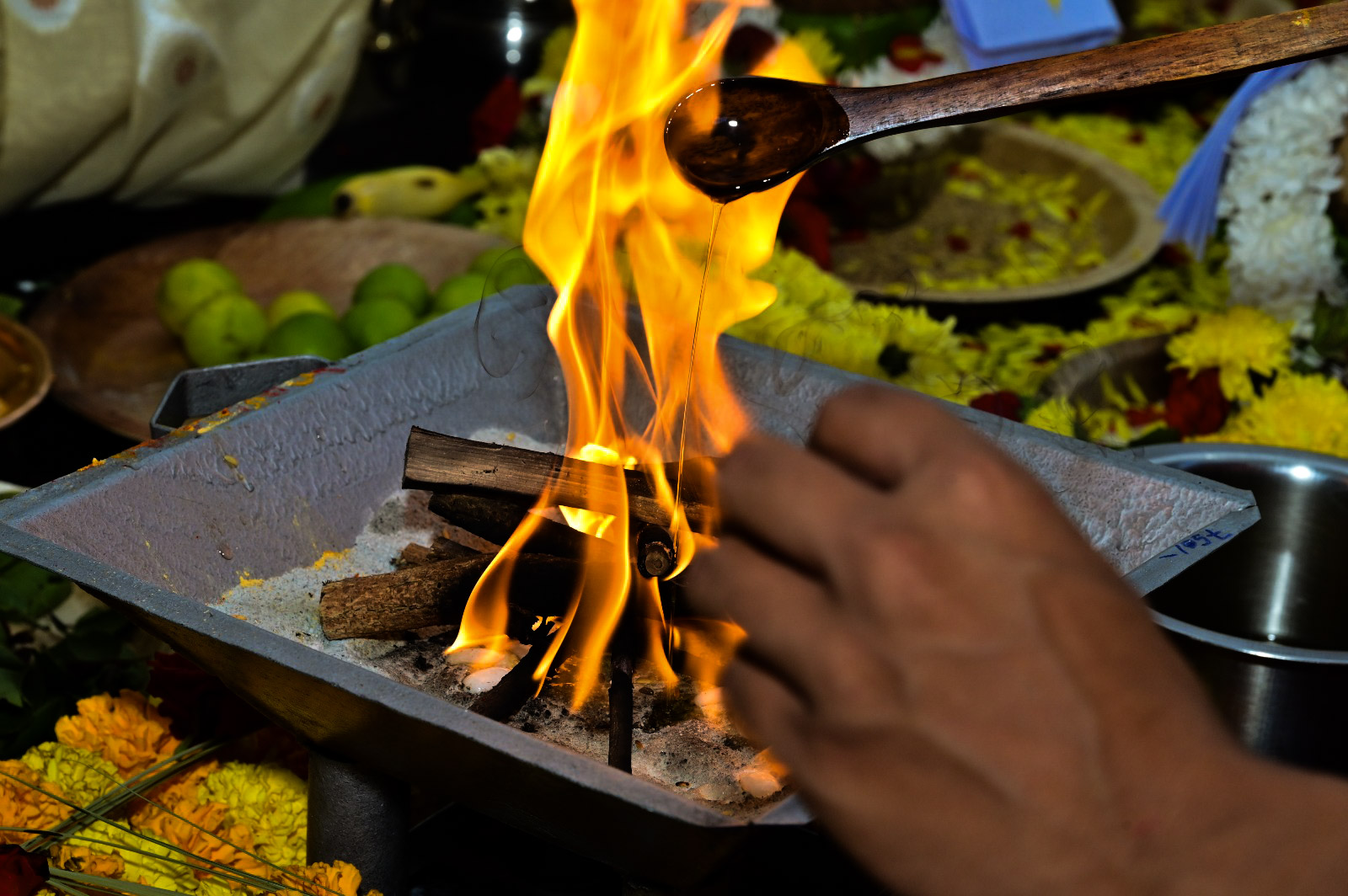 Daiva Darshanam | Professional Vedic Rituals & Ceremonies in Bangalore